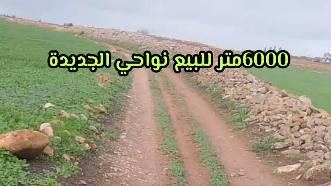 ارض للبيع نواحي مدينة الجديدة مساحتها 6000متر صالحة للسكن والاستثمار