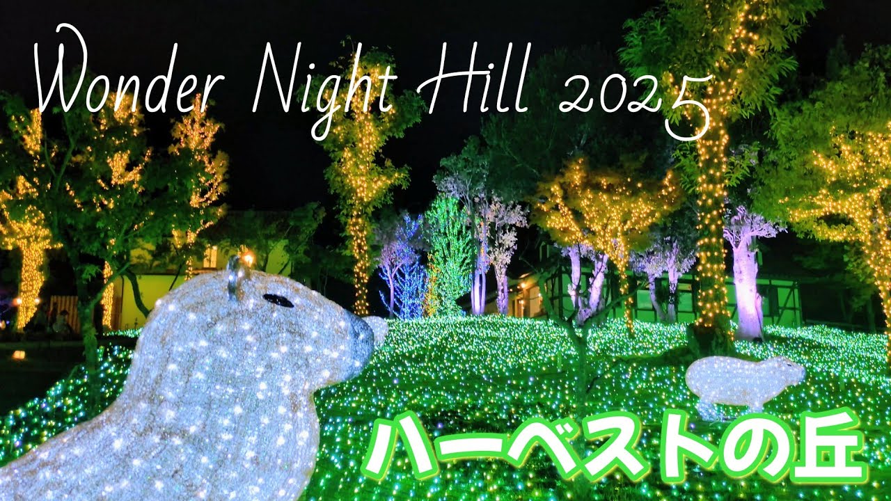 [Harvest Hill] Мероприятие по освещению «Wonder Night Hill 2025»