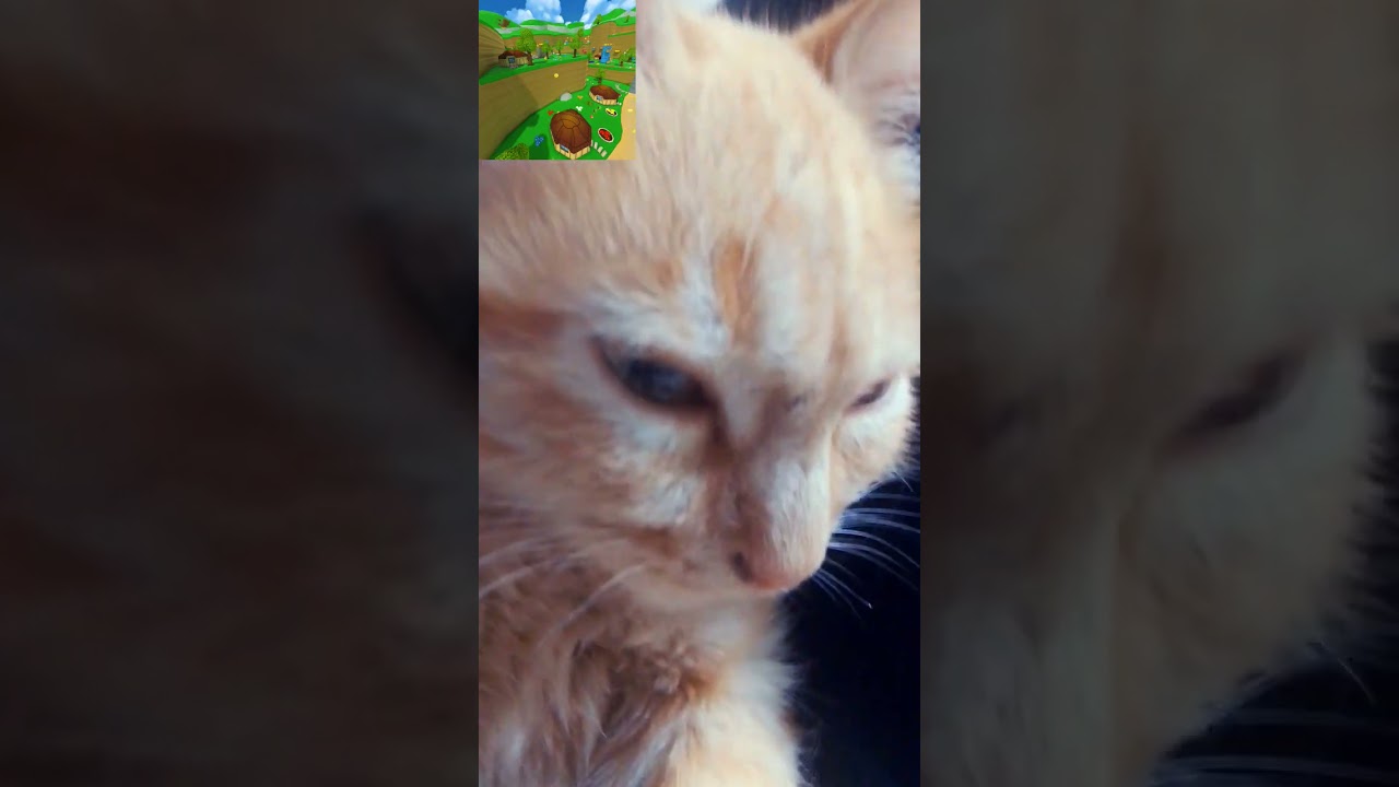 ХиЗе Чо ПиСаТь
