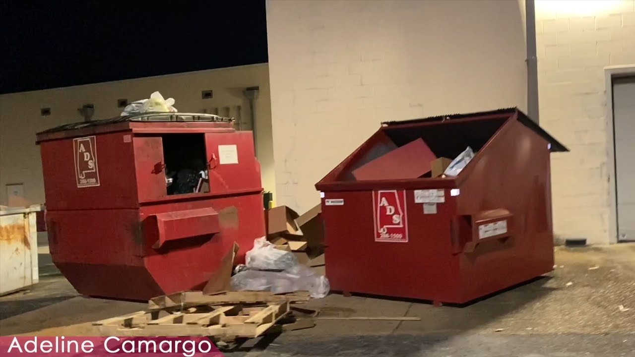 SEMPRE UMA SURPRESA NO LIXO DAS LOJAS DUMPSTER #62