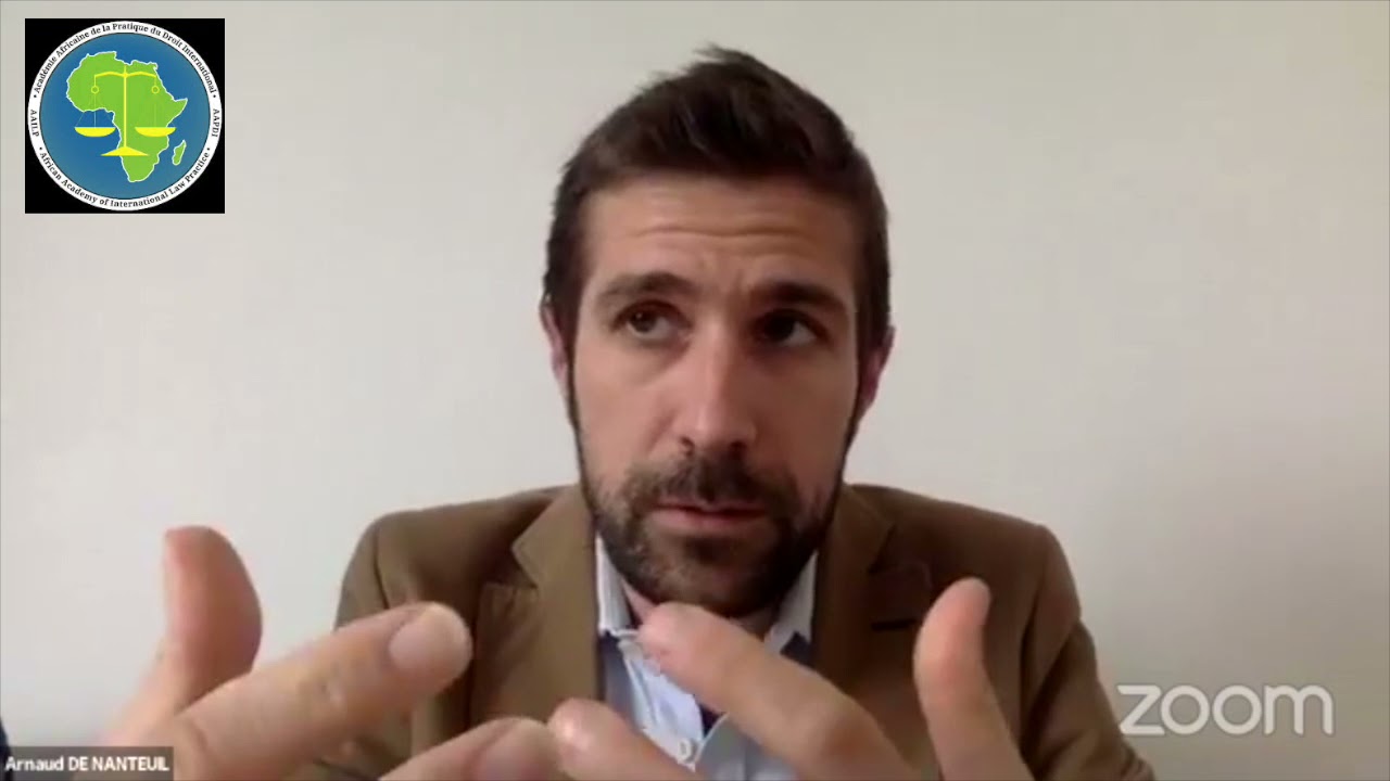 AAPDI, Panel 5 - Pr De Nanteuil : Droit international économique et Droits de l'homme