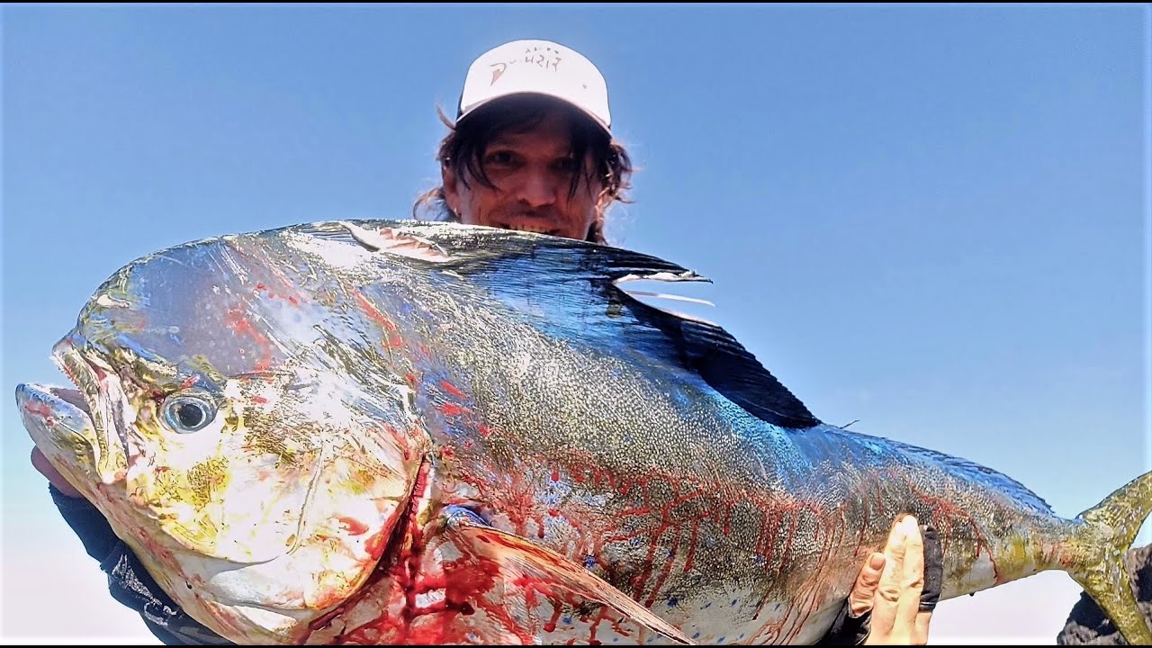 SHORE JIGGING: BIG LAMPUGA ,si aumenta la taglia ! Pt.2