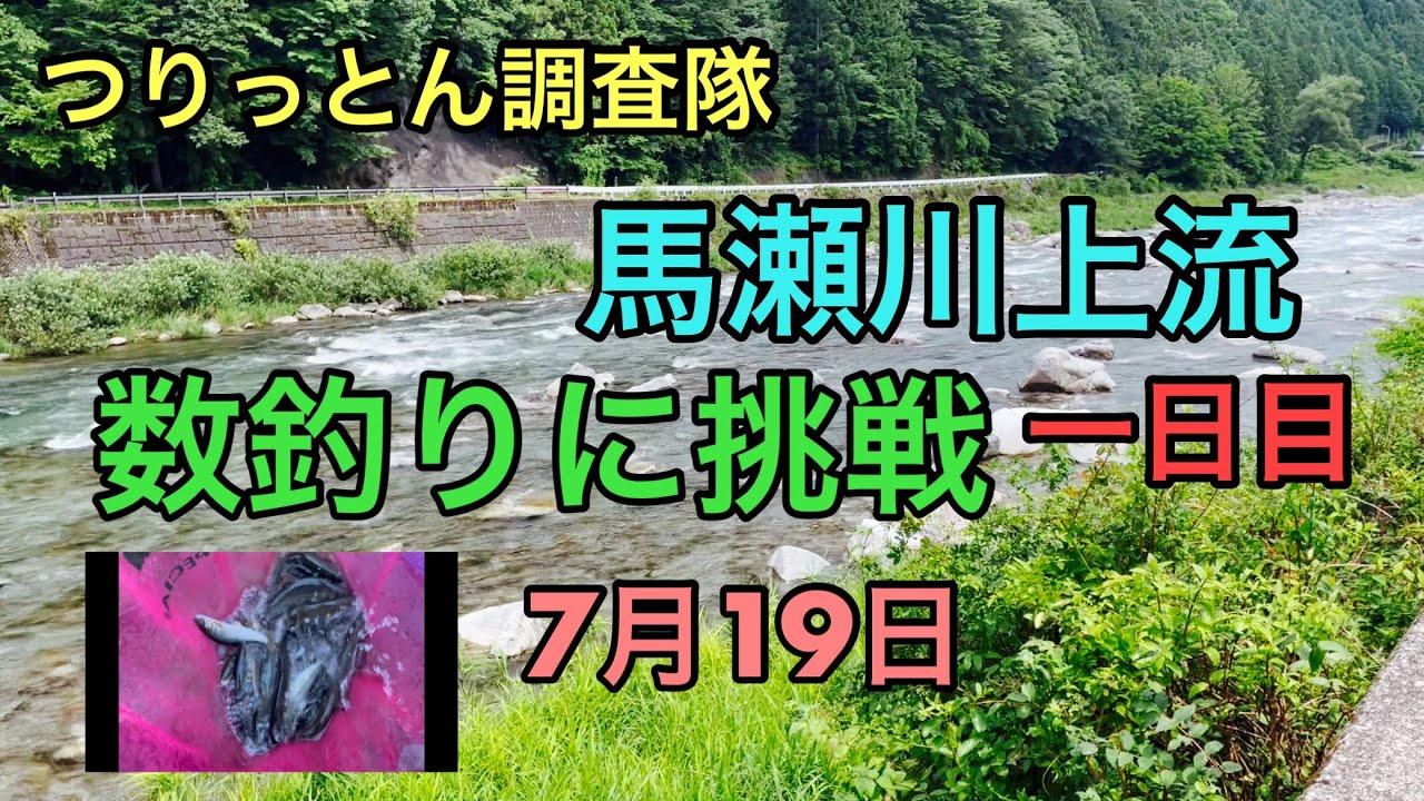 馬瀬川上流で数釣りに挑戦！7月19日