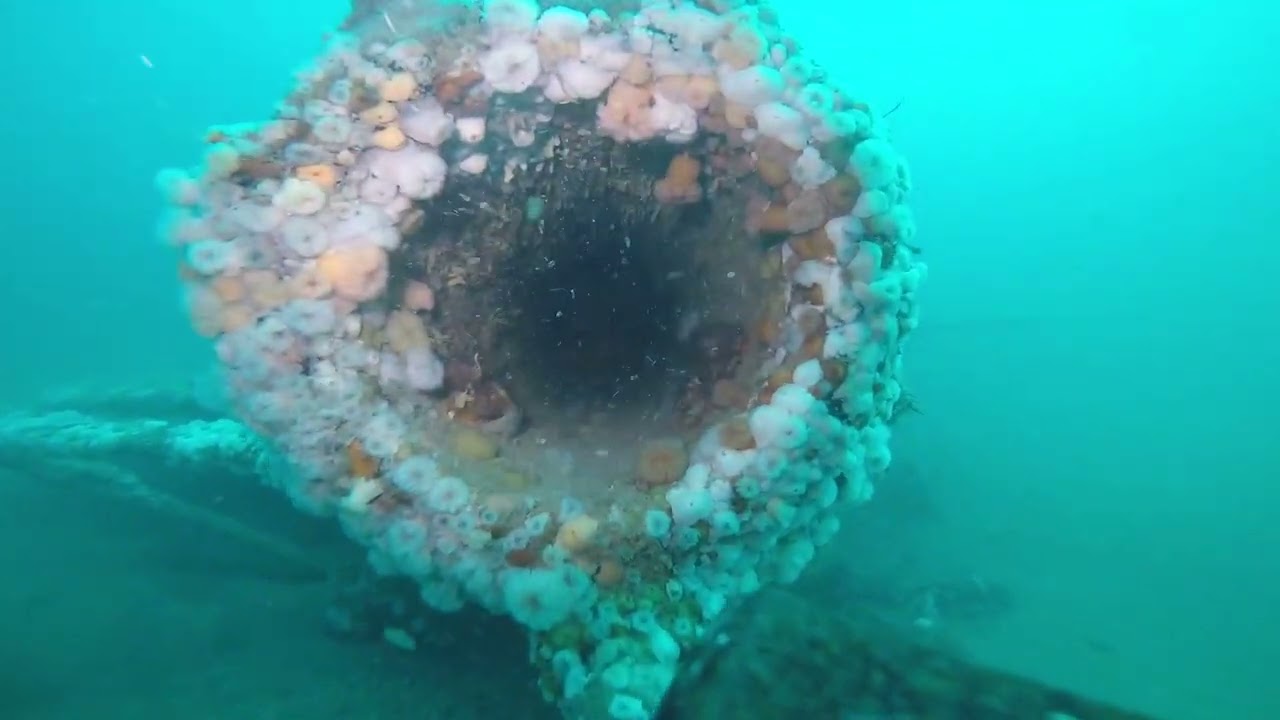 Submarine E36 E-class submarine. Dive northsea