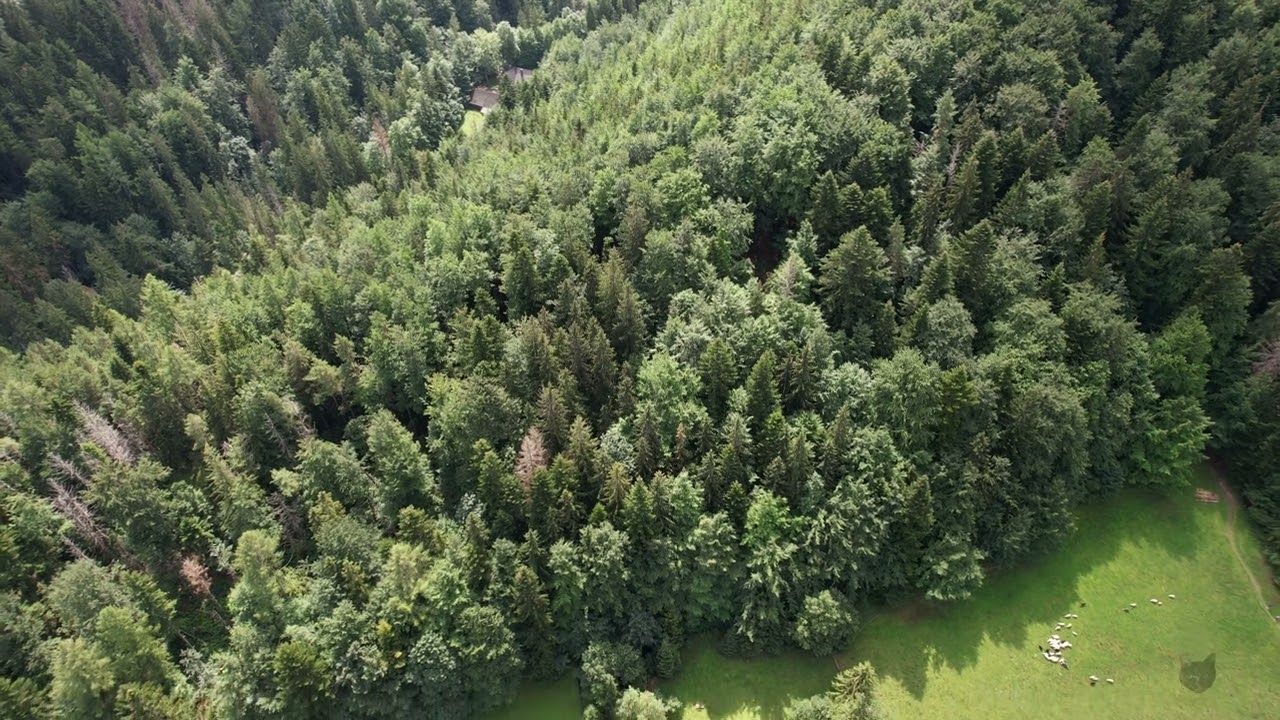 Tatra National Park, Poland. 360 degree view. Татранський національний парк, Польща. Огляд 360.