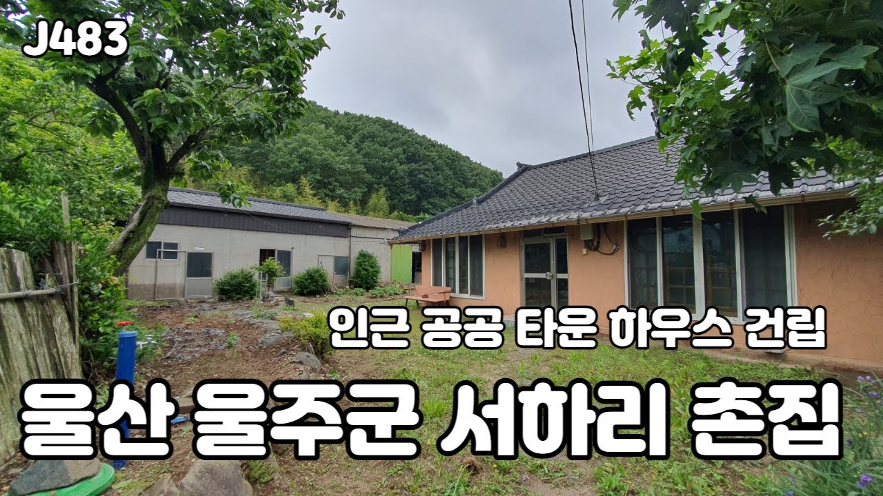 (J483)(울산촌집)울산 울주군 두서면 서하리 촌집 매매 159평 인근 공공타운하우스 건립 추진중#울산촌집#울산주택