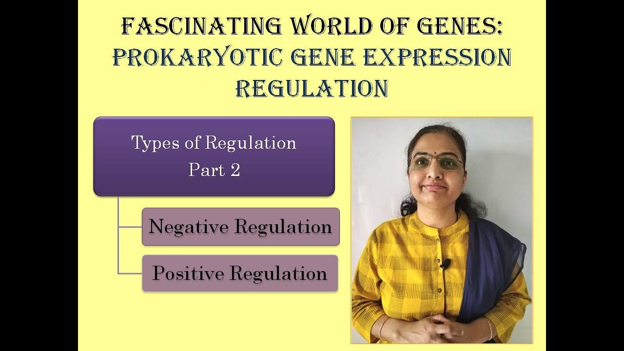 Prokaryotic Gene Expression Regulation:Types of Regulation:Negative Regulation/Positive Regulation