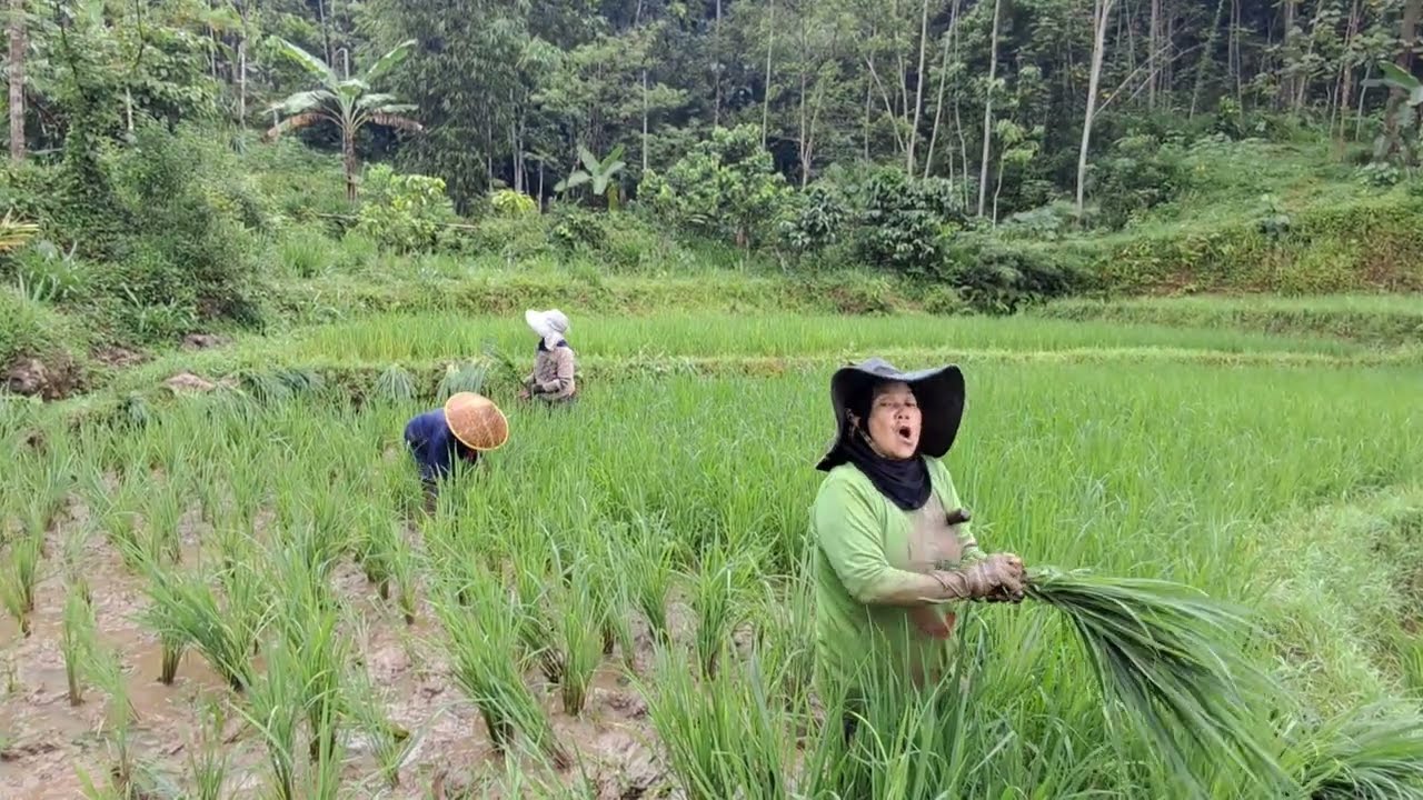 Kocak Bener Si Ibu Yang Lagi Kerja Di Sawah