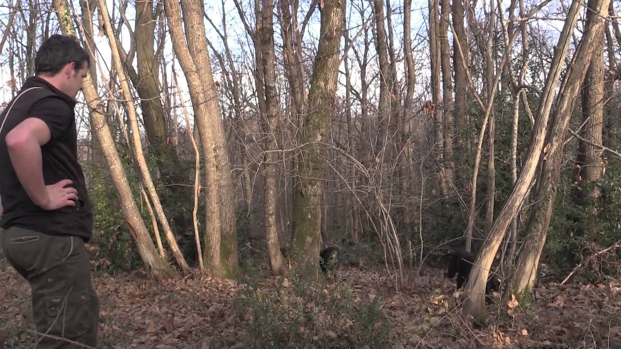 Comment se déroule une chasse au bâton ?