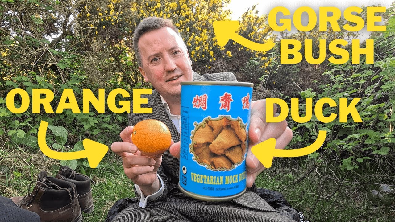 Duck à l'orange in a gorse bush (on the South Downs)