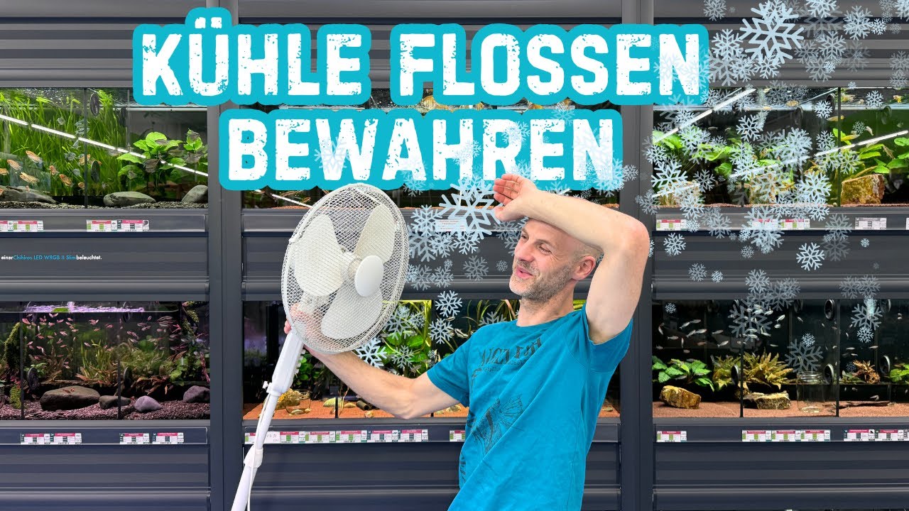 So vermeiden wir zu hohe Temperaturen in unseren Aquarien