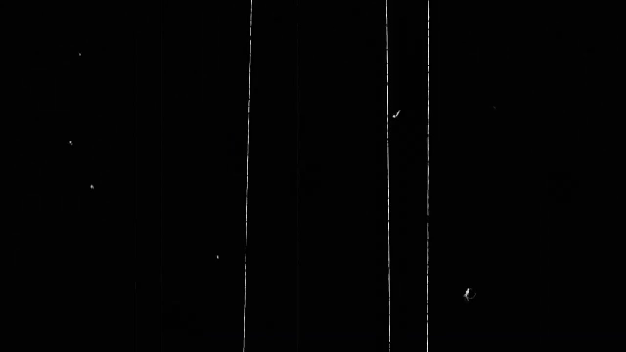 Overlay Super Black Background With Scratch And Dust Screen  For 16/35mm