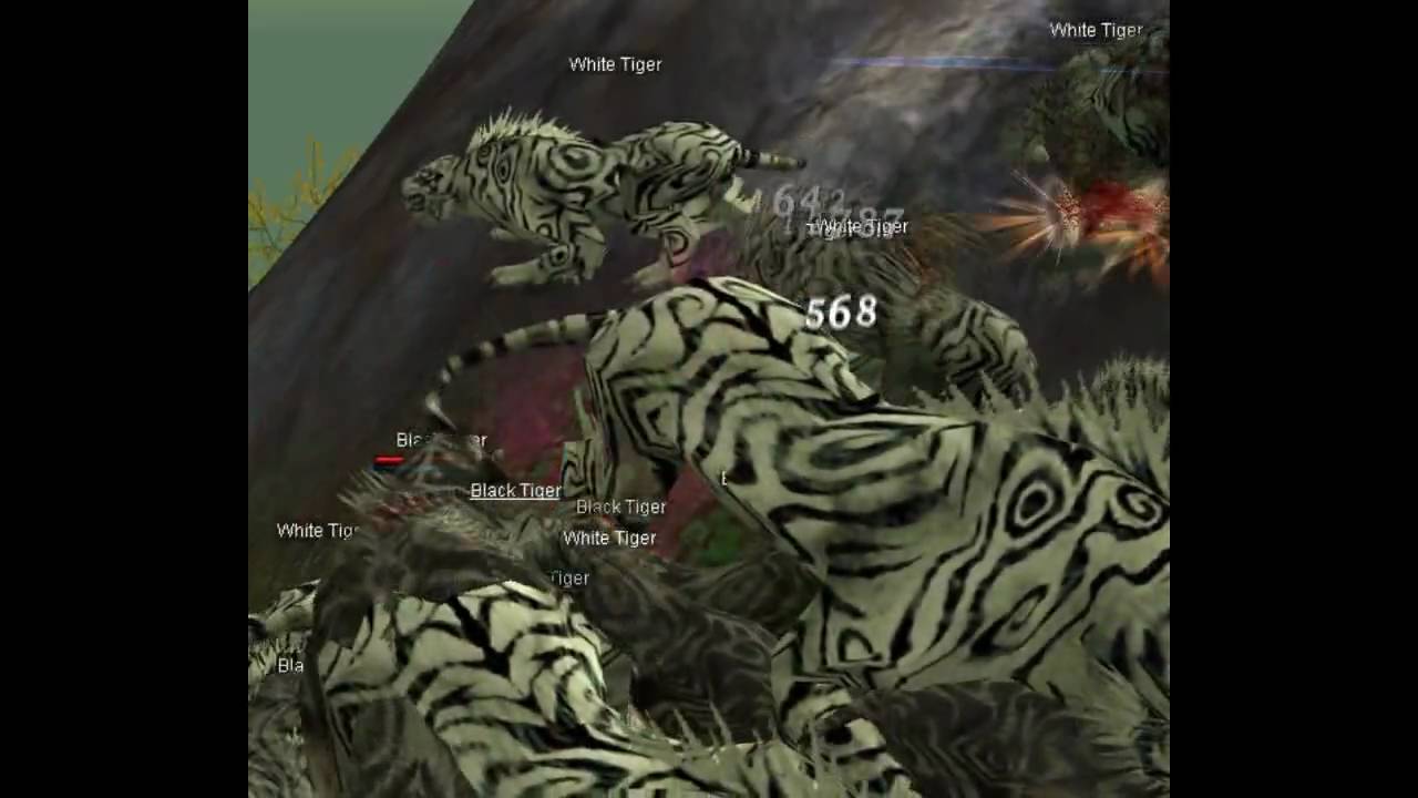 Swiorek killed Tg #1 RuSro