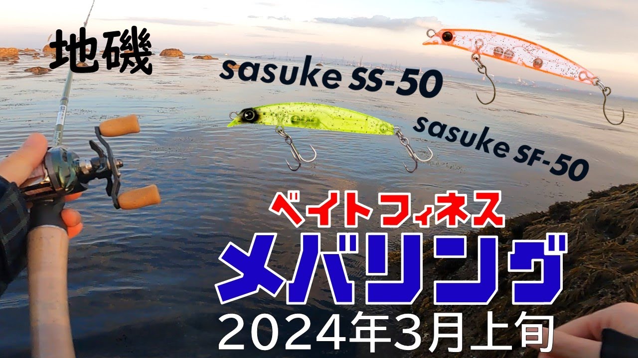 sasuke(サスケ) SS-50 SF-50　ベイトフィネスメバリング作戦6(大神漁港/大分/別府湾/地磯)(2024年3月上旬)VLOG