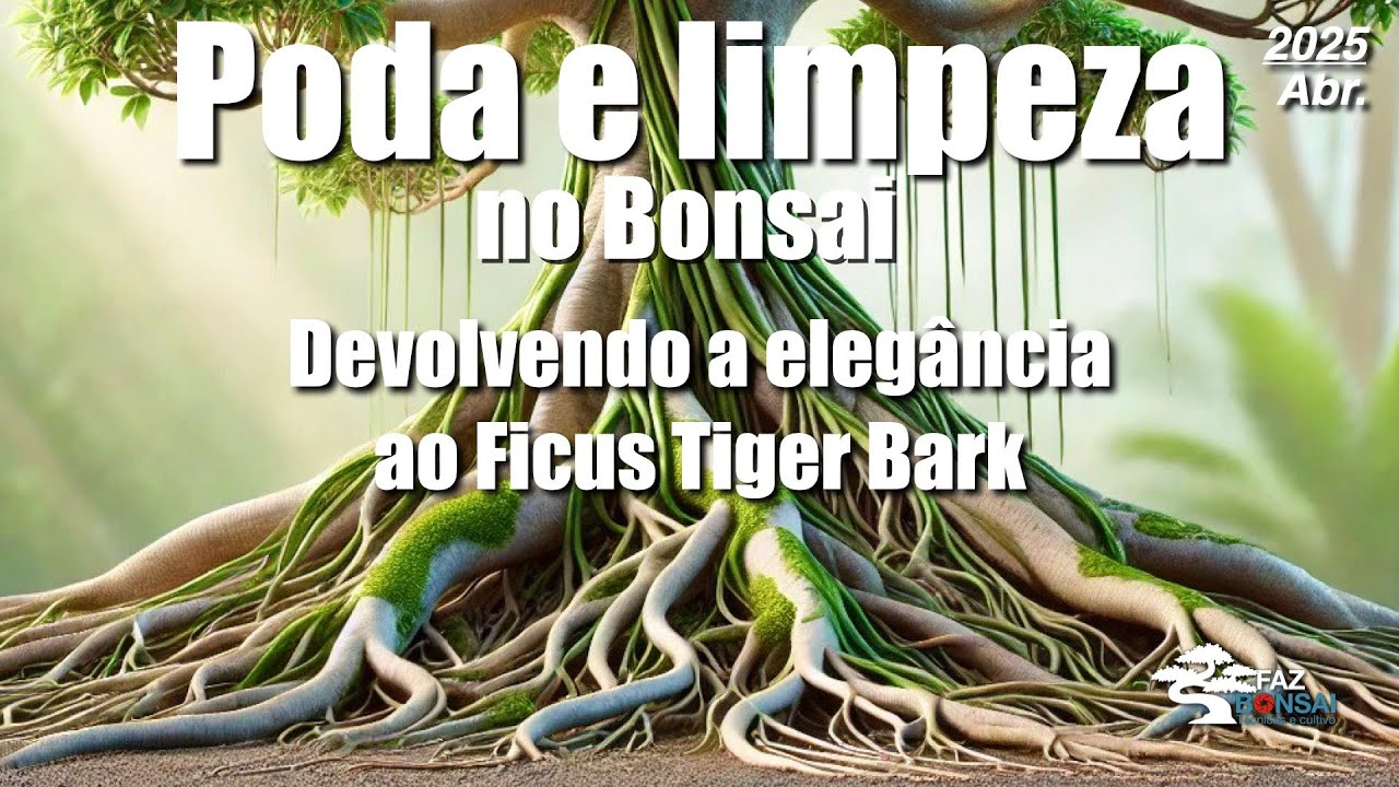 Poda e Limpeza no Bonsai – Devolvendo a Elegância ao Ficus Tiger Bark