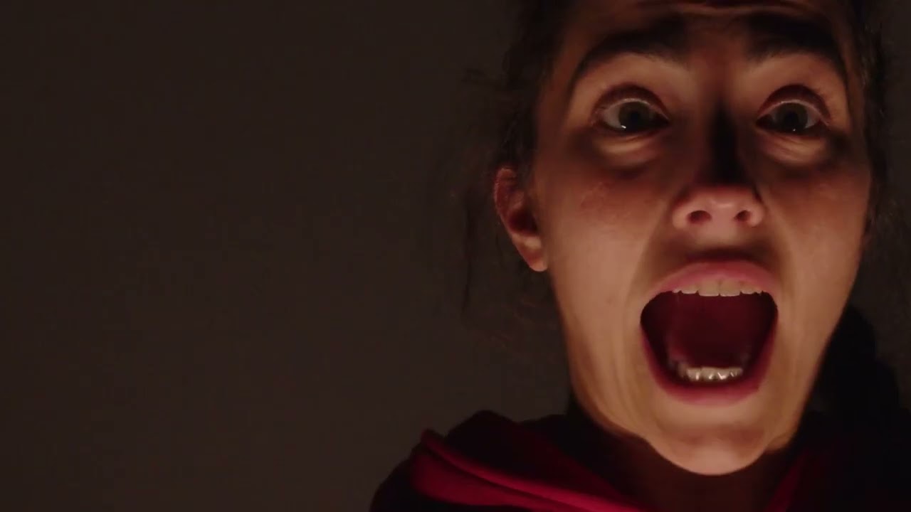 Le Petit Chaperon Rouge - Sylvain Huc