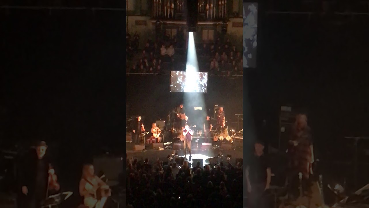 Damien Dempsey tearing it up at Shane MacGowan concert 2018