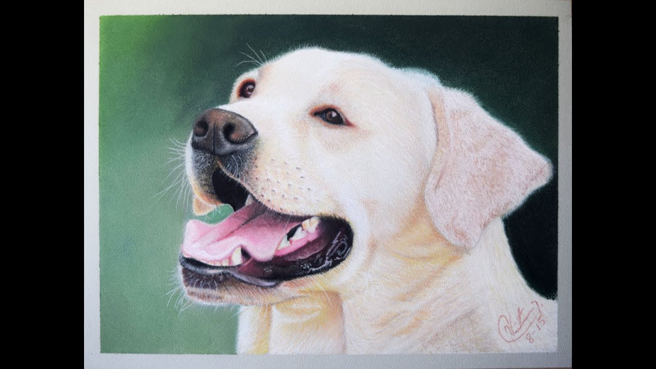 Como Dibujar un Perro con Tiza Pastel Paso a paso 1/2