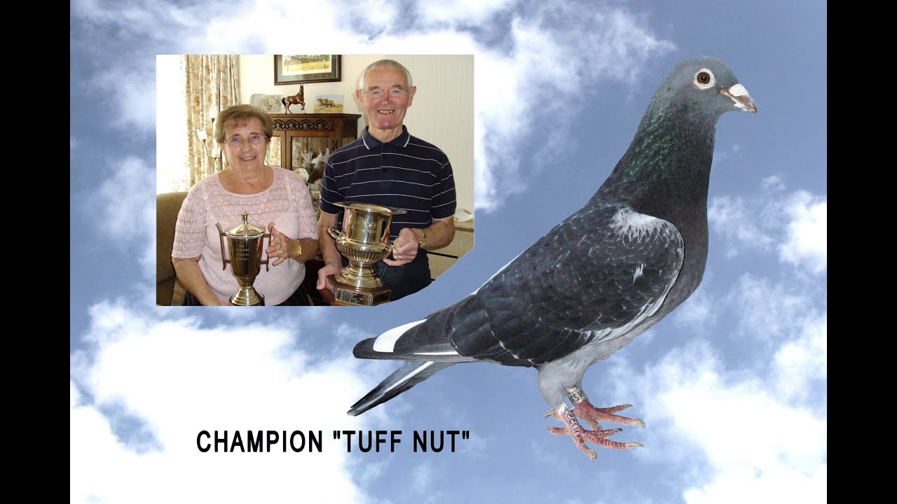 Видео 475: Фильм, посвящённый чемпиону &laquo;Tuff Nut&raquo;: одному из &laquo;величайших гонщиков всех времён&raquo; NF...