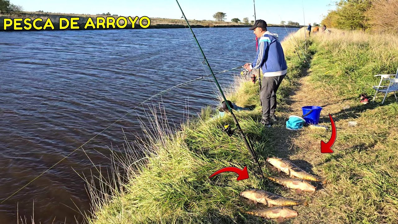 en este ARROYO estan LAS BESTIAS/ HOY COMIMOS LO QUE PESCAMOS/ PESCANDO EN EL ARROYO CAMARON 🎣🔥