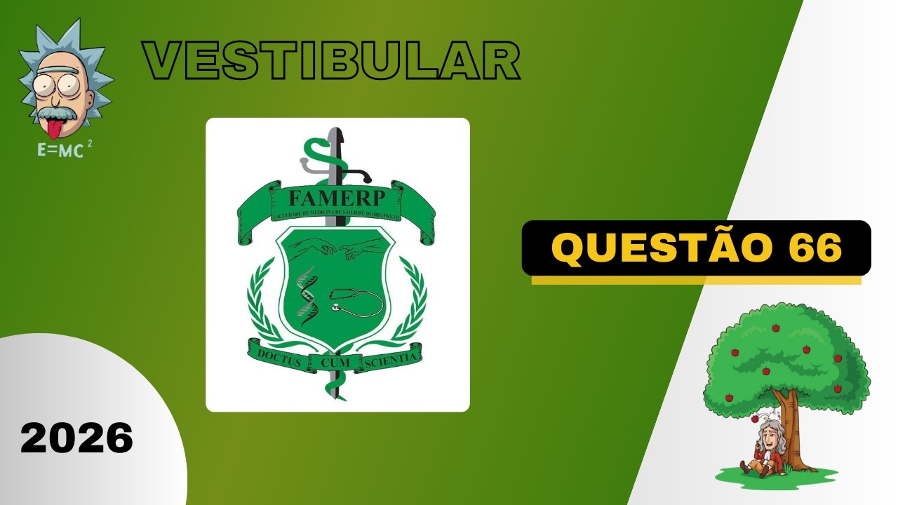 Vestibular 2026 | Famerp - Questão 66