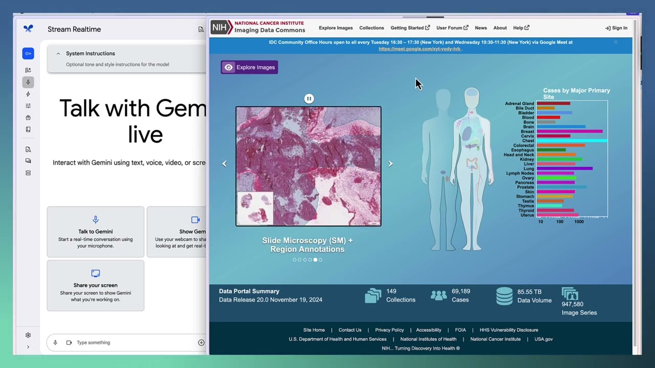 Experimenting with Google Gemini and Imaging Data Commons