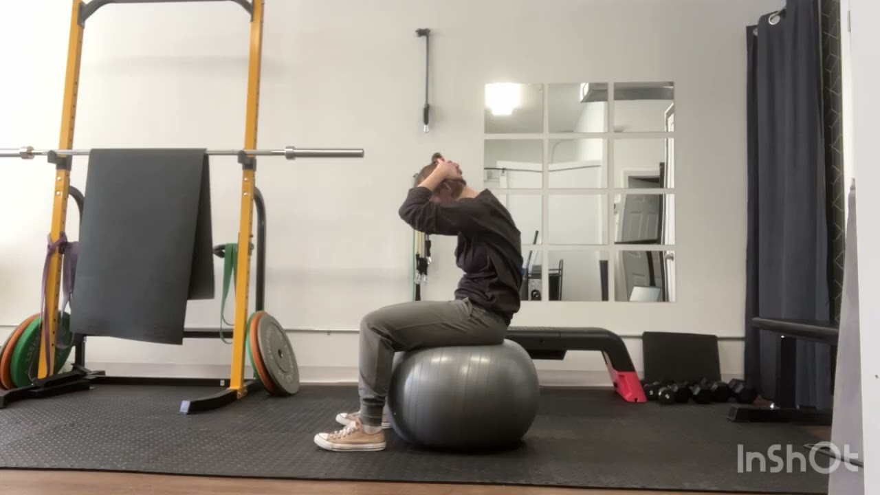 Stability Ball Cat Cow