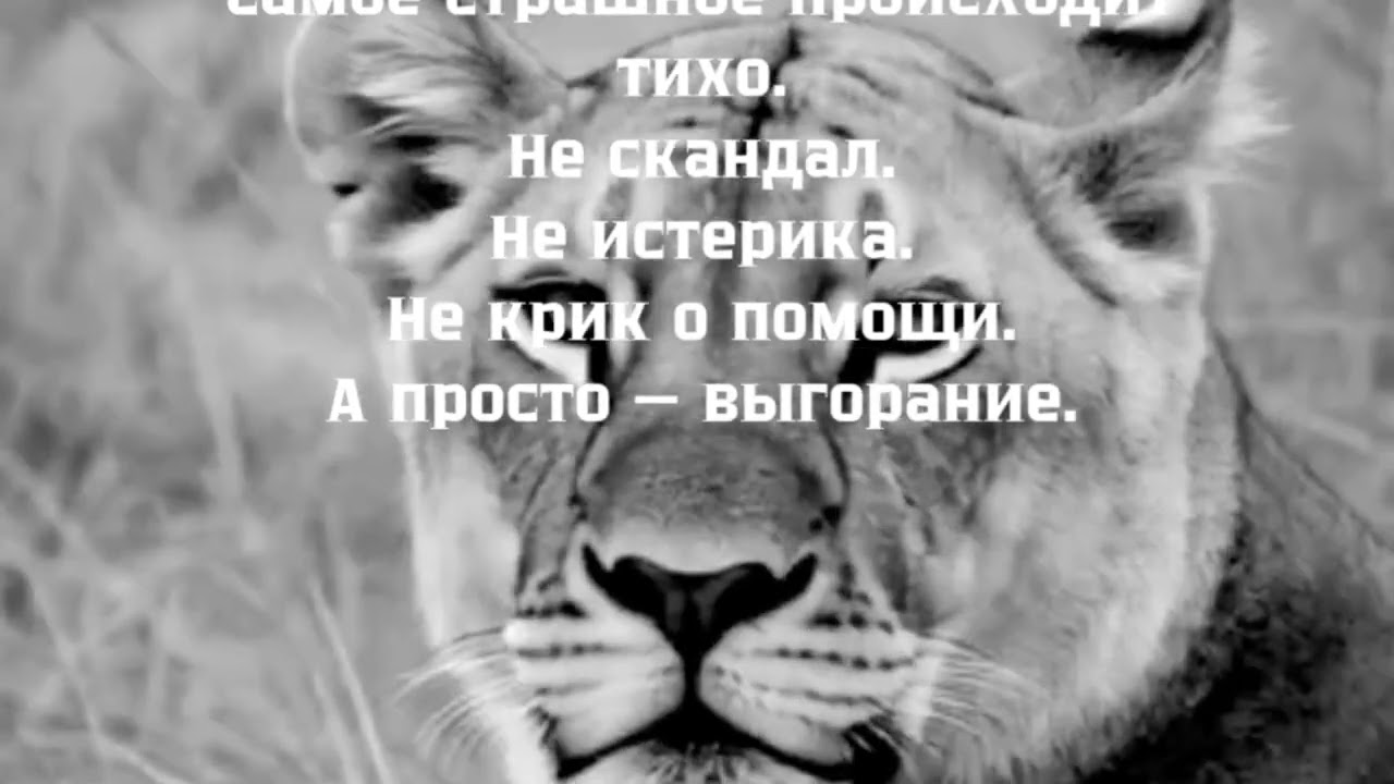 Самая опасная привычка сильных людей — тащить всё в одиночку.
