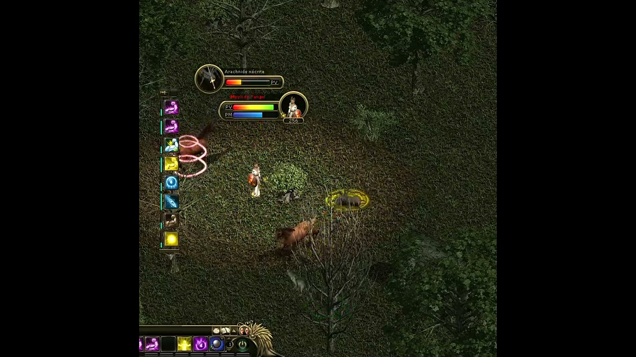 T4C Neerya, assistance au ciblage.