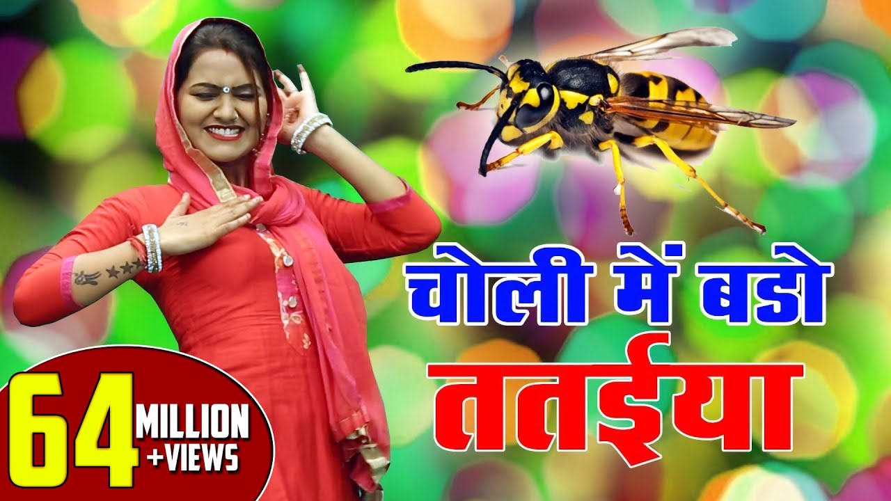 चोली में बड़ो ततैया !! Shivani Mast Dance Video 2022 !! Haryanvi Song 2022 !! Shivani Ka Thumka