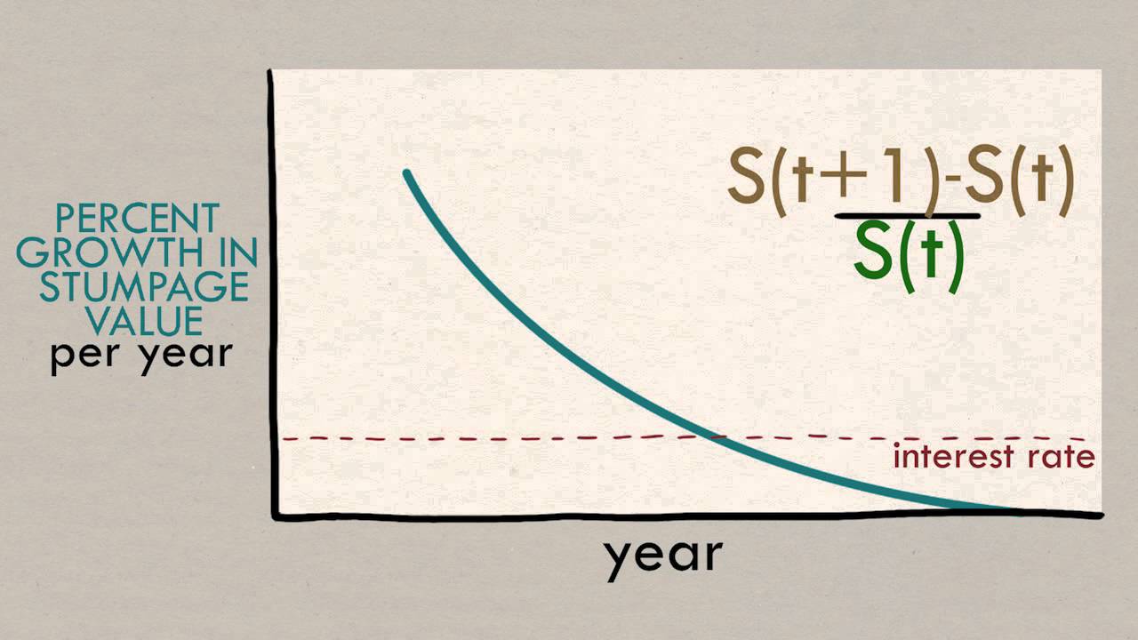 Forestry Economics: Ecosystem Services and the Optimal Rotation Age