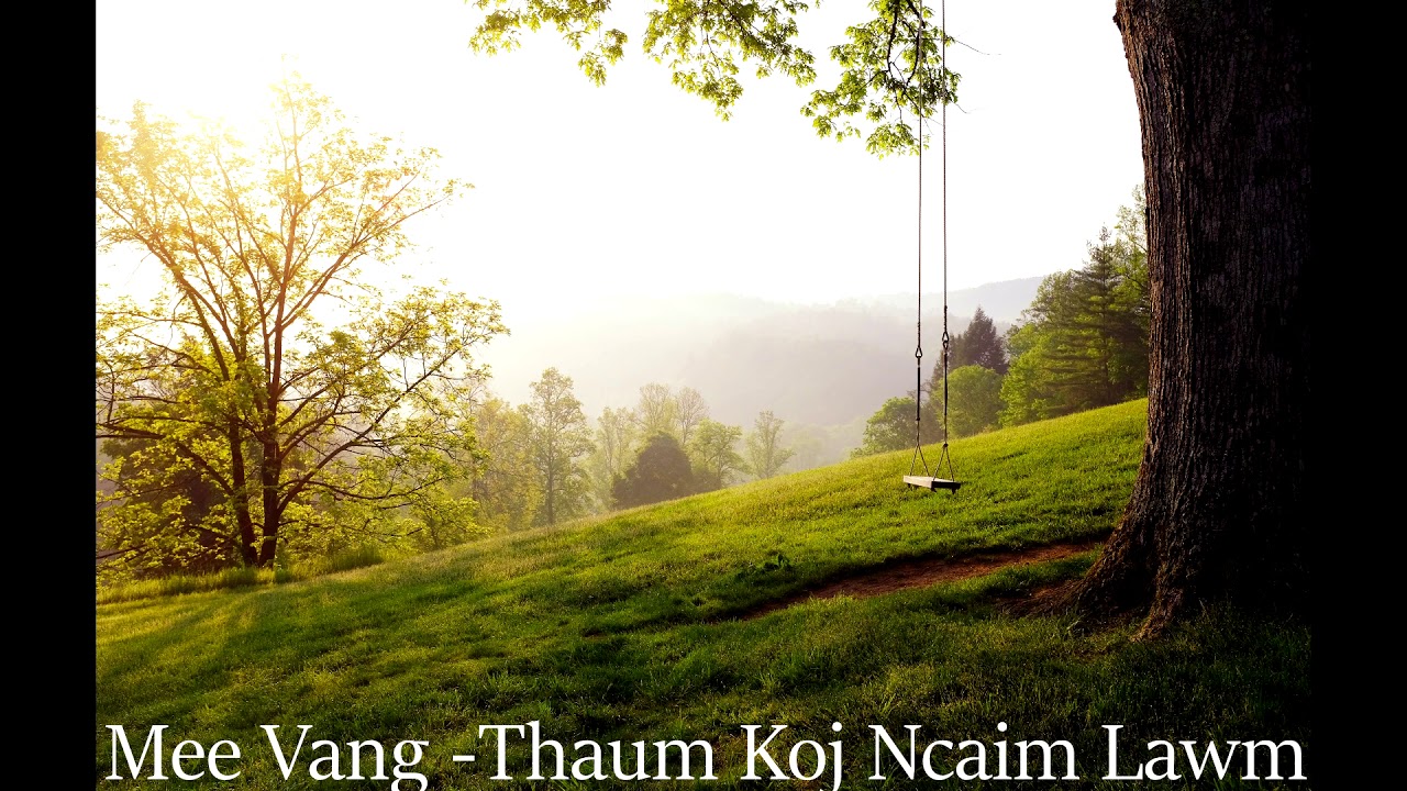 Mee Vang - Thaum Koj Ncaim Lawm (Dark Tales)