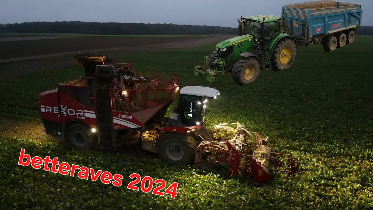 betterave 2024