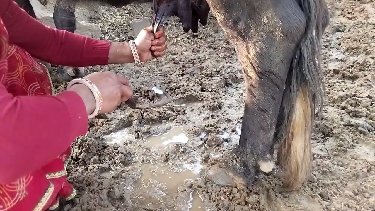 आज हमने की ओढ़नी तैयार🤩#newvlog#subscribe@MadhutMeena-m12 