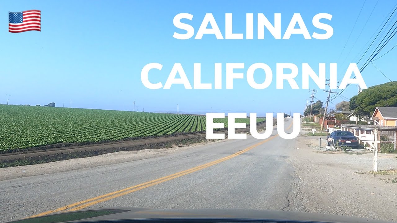 EXPLORANDO SALINAS CALIFORNIA ÁREA  DE CULTIVOS EN ESTADOS UNIDOS #california #usa