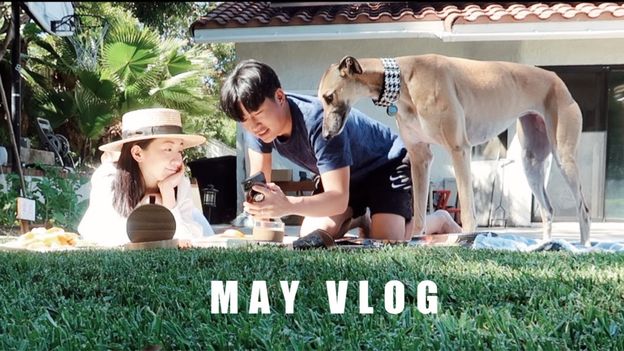 MAY VLOG ｜ 520的后院野餐｜Foster的第一只狗狗｜尝试做鲜芋仙芋圆｜简单的鸡肉干狗零食