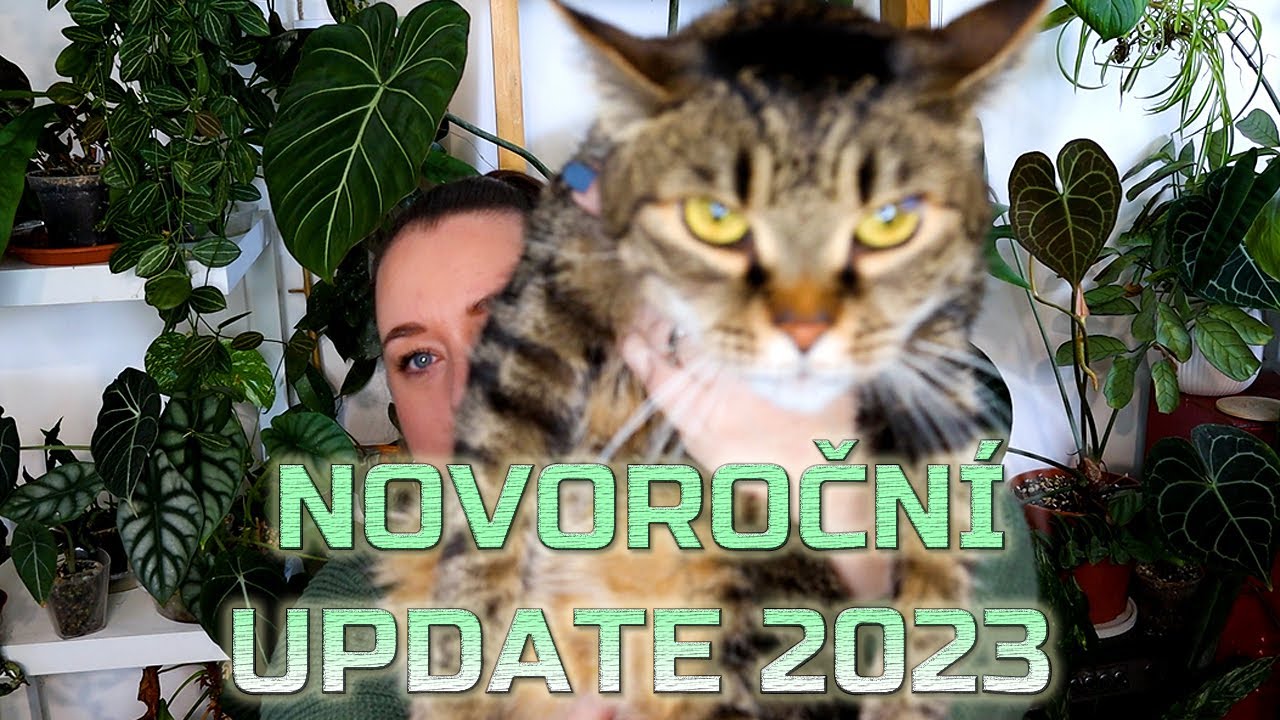 Update v novém roce. Jak dopadla monstera albo? Kolik máme koček a Vaše otázky.