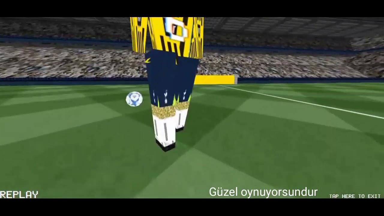 pro oyuncu