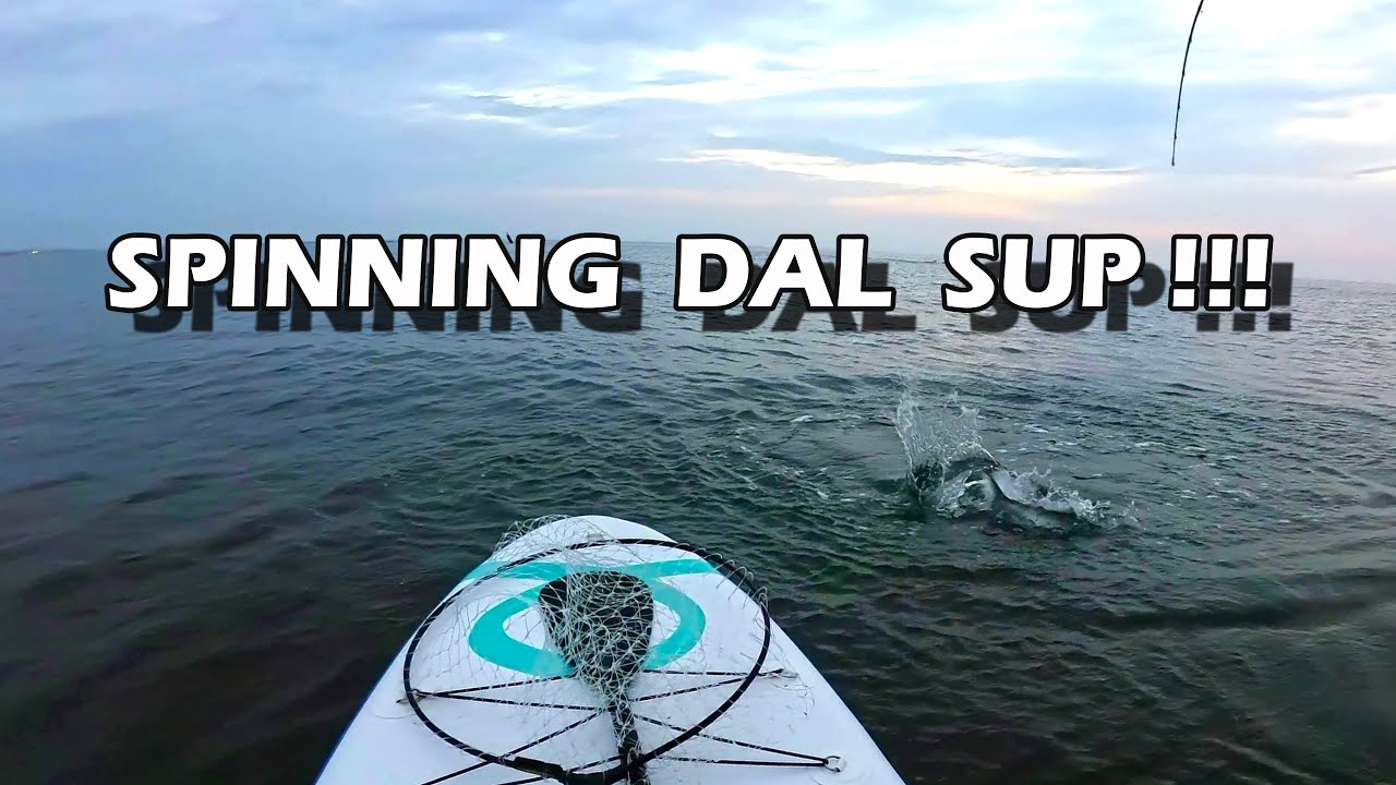 ADRENALINA dal SUP Spinning all'alba - SUP fishing adrenaline