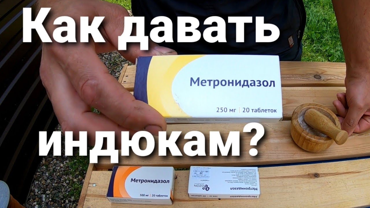 🦃Как пропоить индюков метронидазолом? 💧Как растворить метронидазол? Пропойка индюков от гистомоноза.