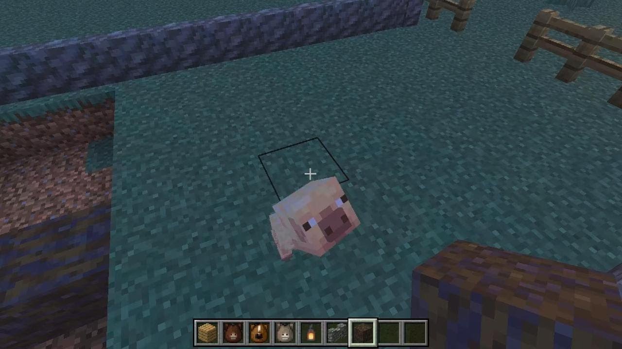 My farm