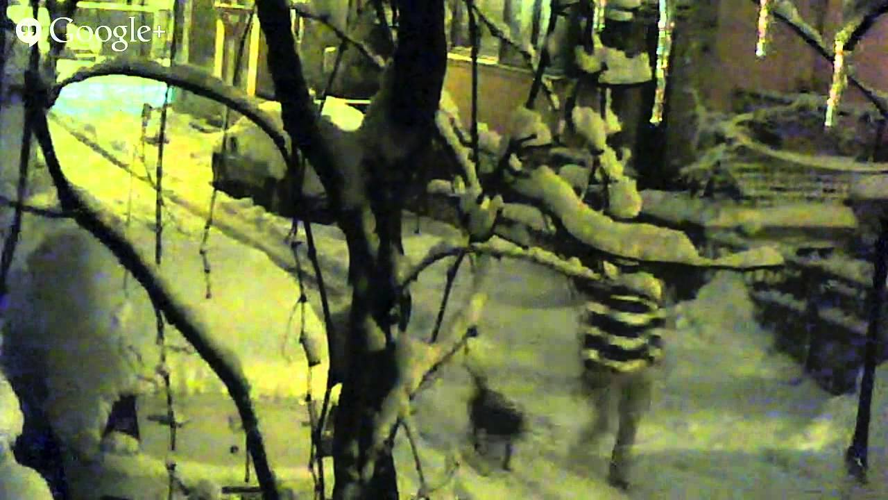 snow night time