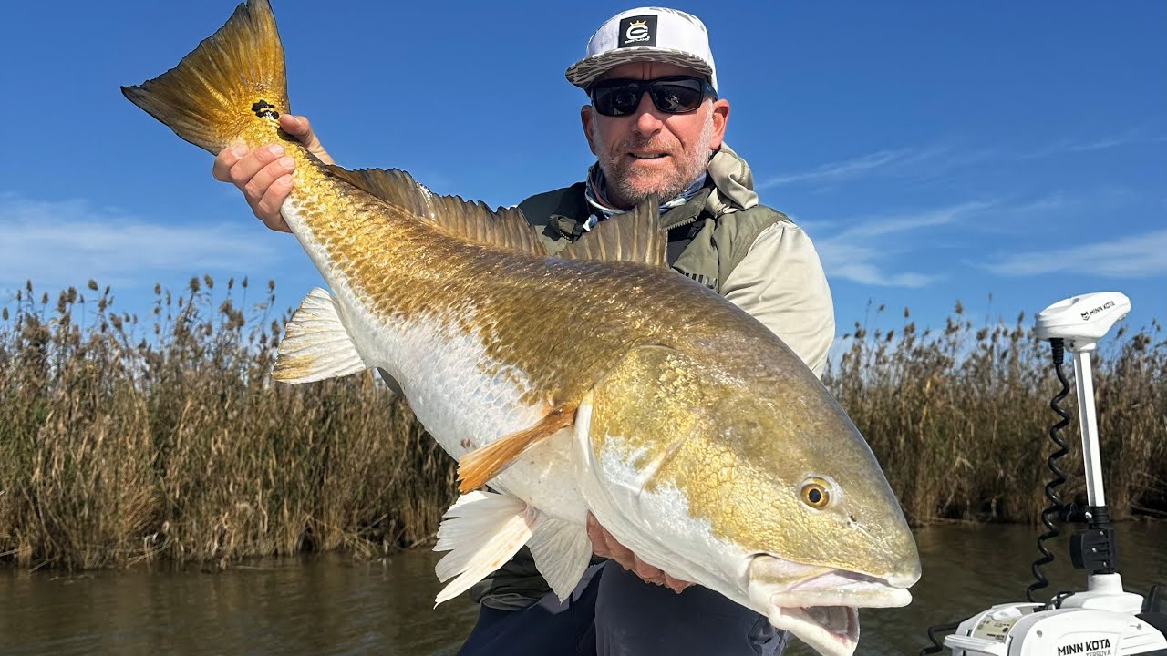 Let's Tie some Redfish Flies! #redfish #flytying #fishing
