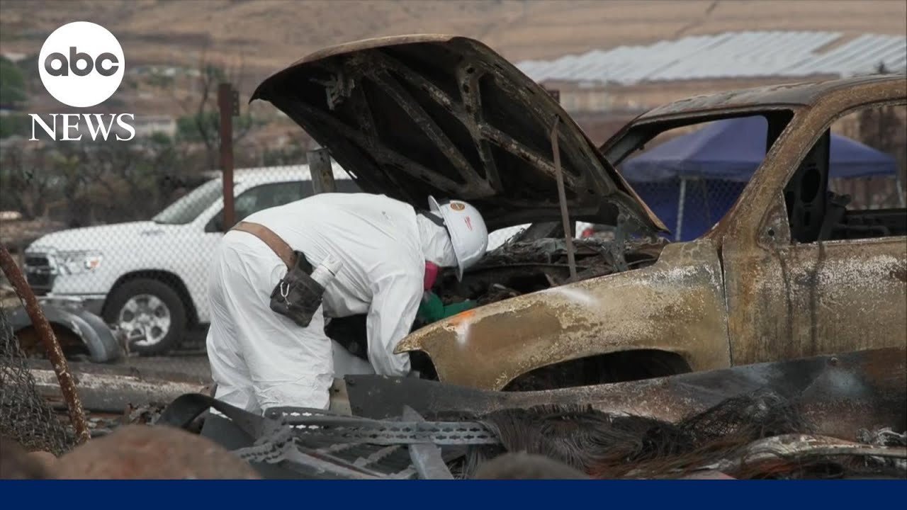 Residents of Lahaina continue to heal from Maui wildfires