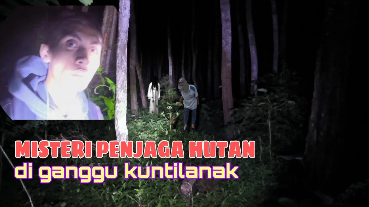 Mitos Seorang Penjaga Hutan!! Yang Di Ganggu Kuntilanak