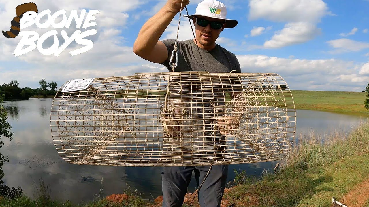 Farm Pond Crawfish Trapping | Crayster Crawdad Traps Review