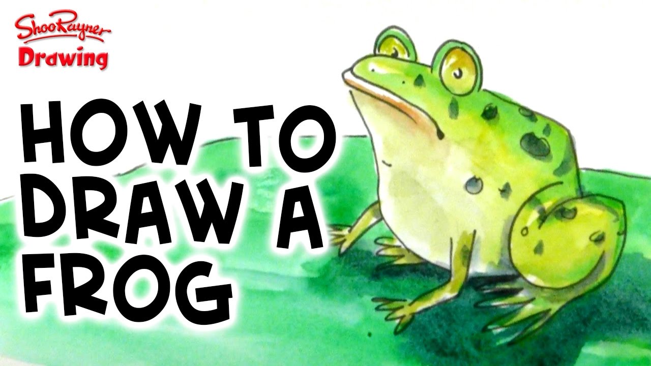 How to draw and paint a frog in watercolor - step by step