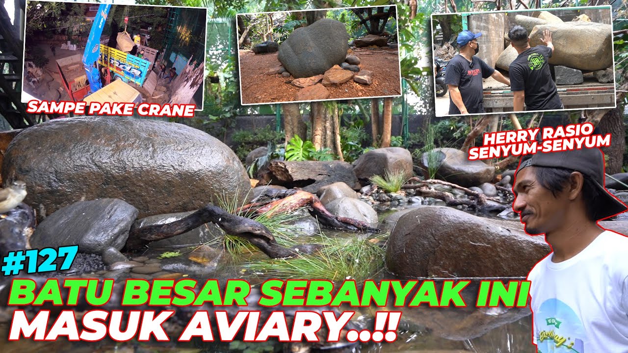 #EPS127 DEHAKIMS AVIARY | GANYANGKA AVIARY BISA SEINDAH INI GAES..!!