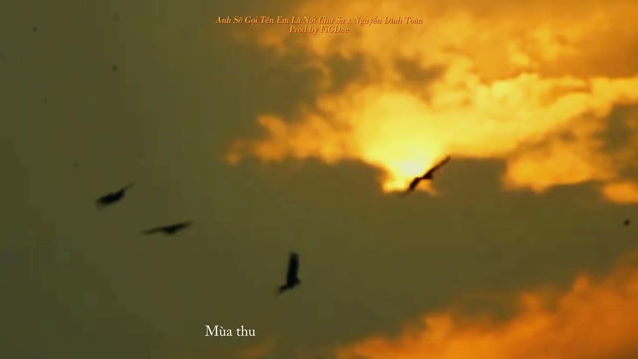 Anh Sẽ Gọi Tên Em Là Nốt Chu Sa (Voice Nguyễn Đình Toàn) - FiGDee ( Nhạc Chữa Lành )