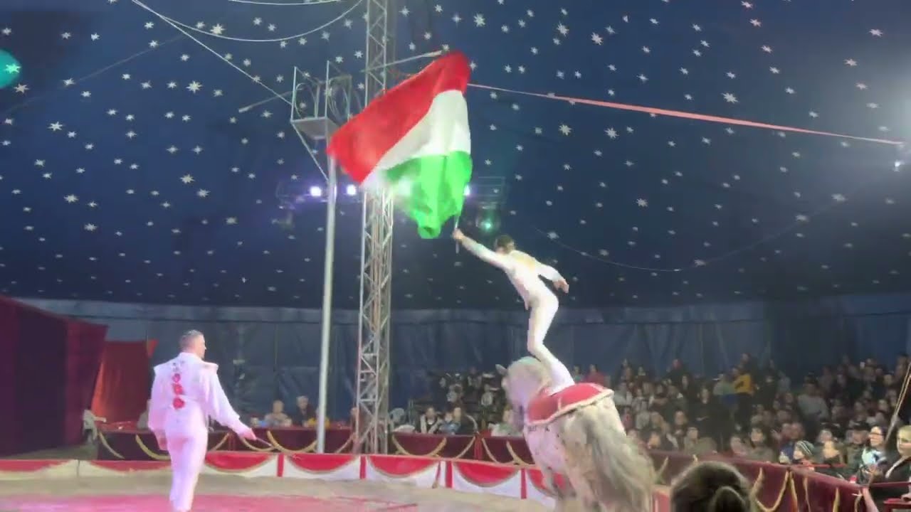 Magyar Nemzetközi Nagycirkusz Kecskeméten (Finálé)